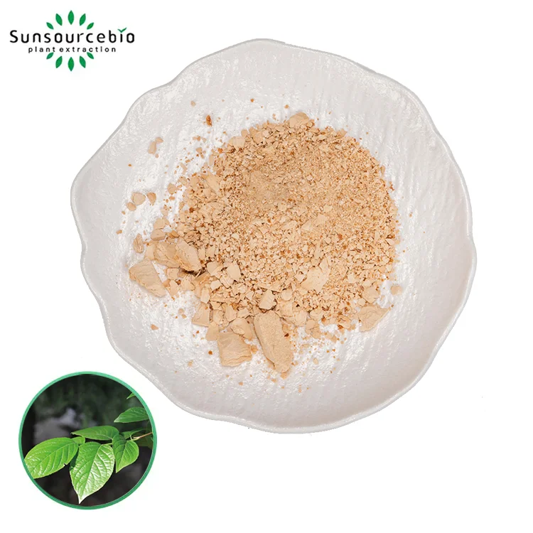 Eucommia chiết xuất bột