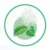 Eucommia Supercritical Fluid Extract